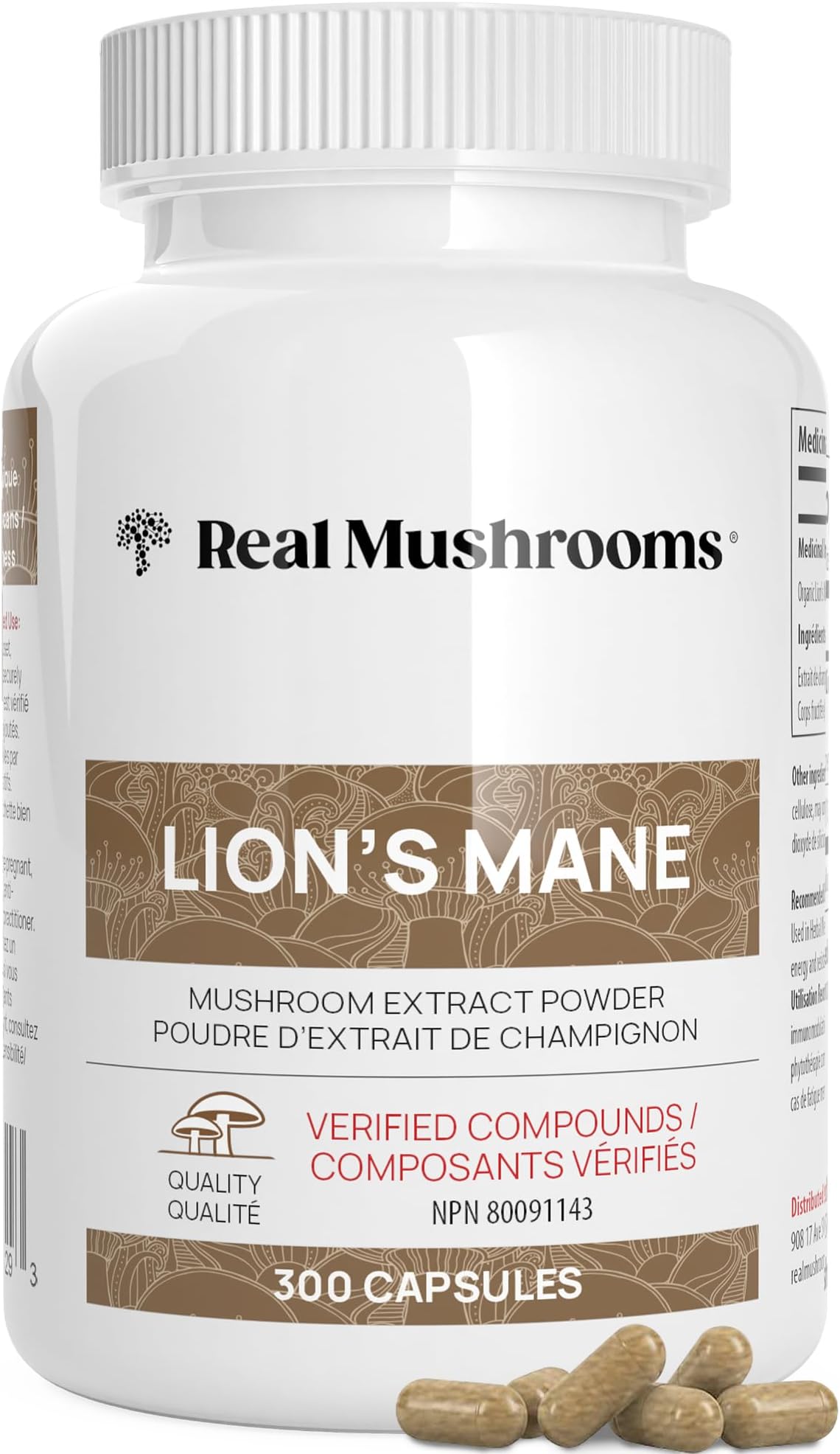 Lion's Mane Extract 10:1
